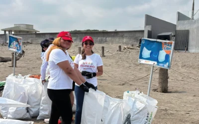 Acciones Dulces por un Planeta Mejor: Nuestro Primer Voluntariado Corporativo.